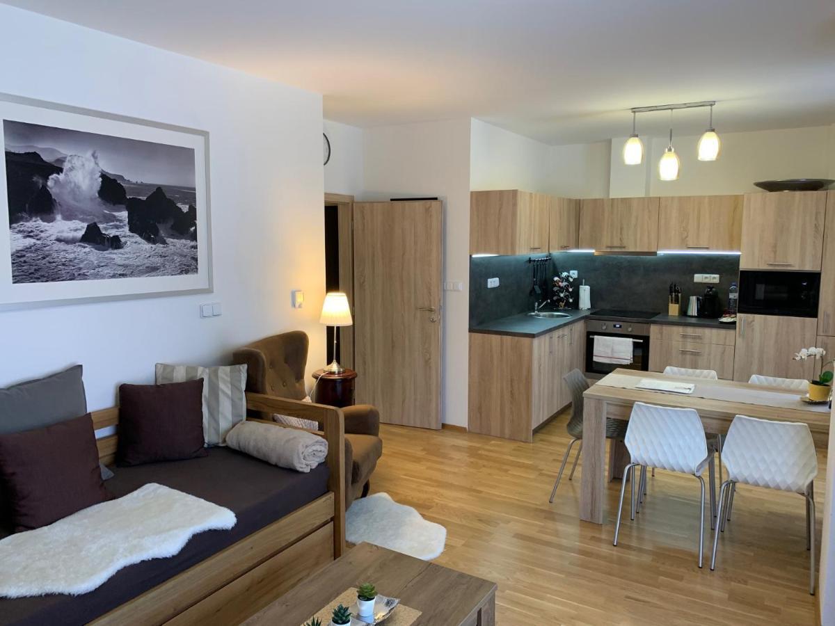 Apartment Rezidence - Javor & Wellness Железна-Руда Экстерьер фото
