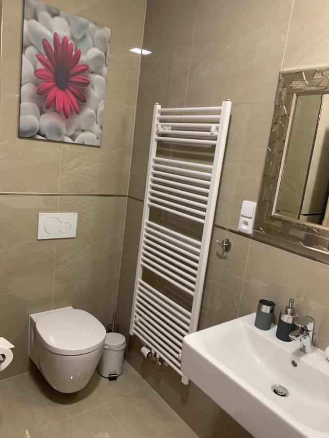 Apartment Rezidence - Javor & Wellness Железна-Руда Экстерьер фото