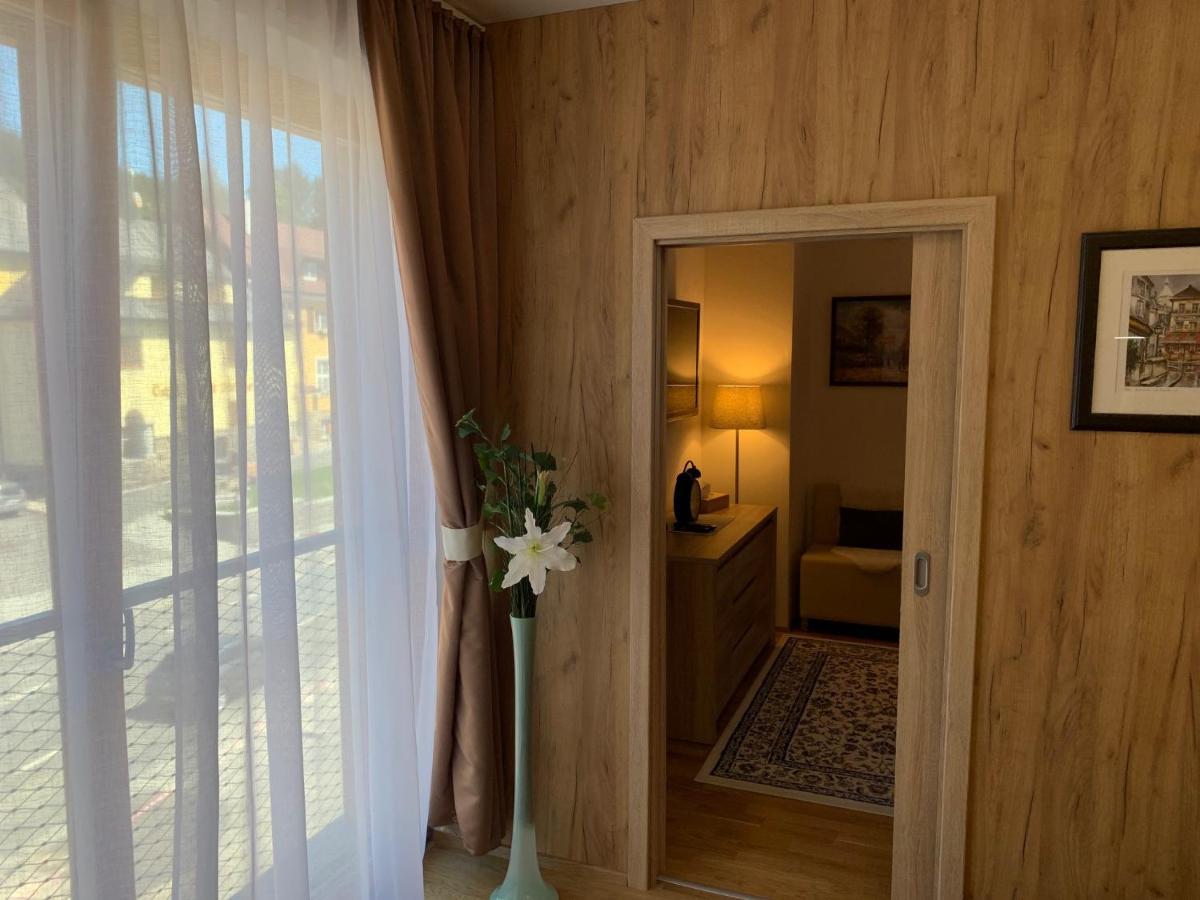 Apartment Rezidence - Javor & Wellness Железна-Руда Экстерьер фото