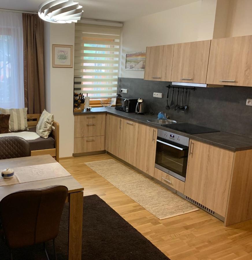 Apartment Rezidence - Javor & Wellness Железна-Руда Экстерьер фото