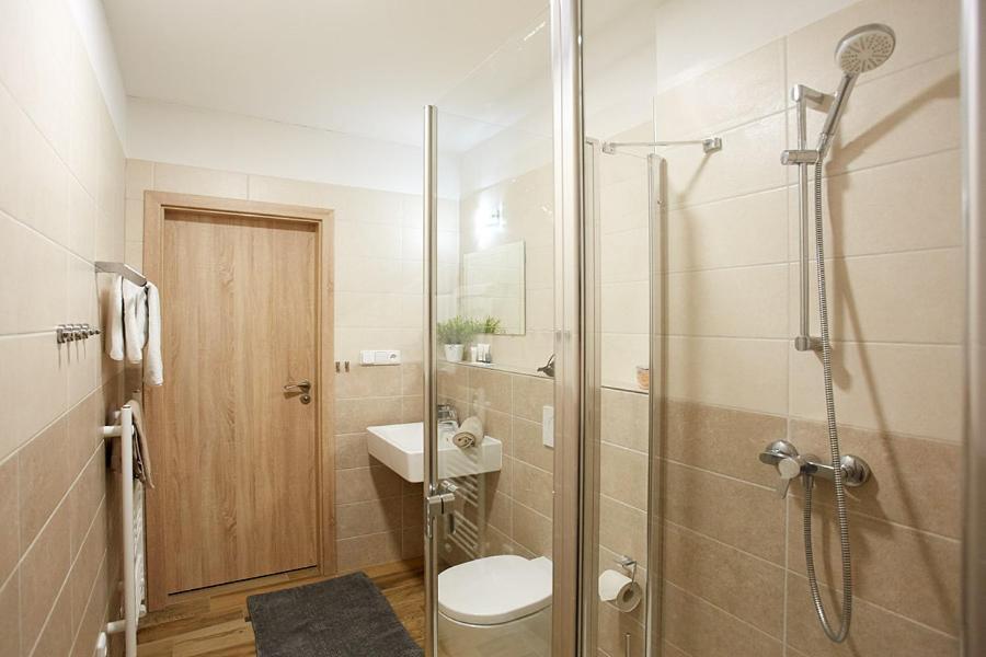 Apartment Rezidence - Javor & Wellness Железна-Руда Экстерьер фото